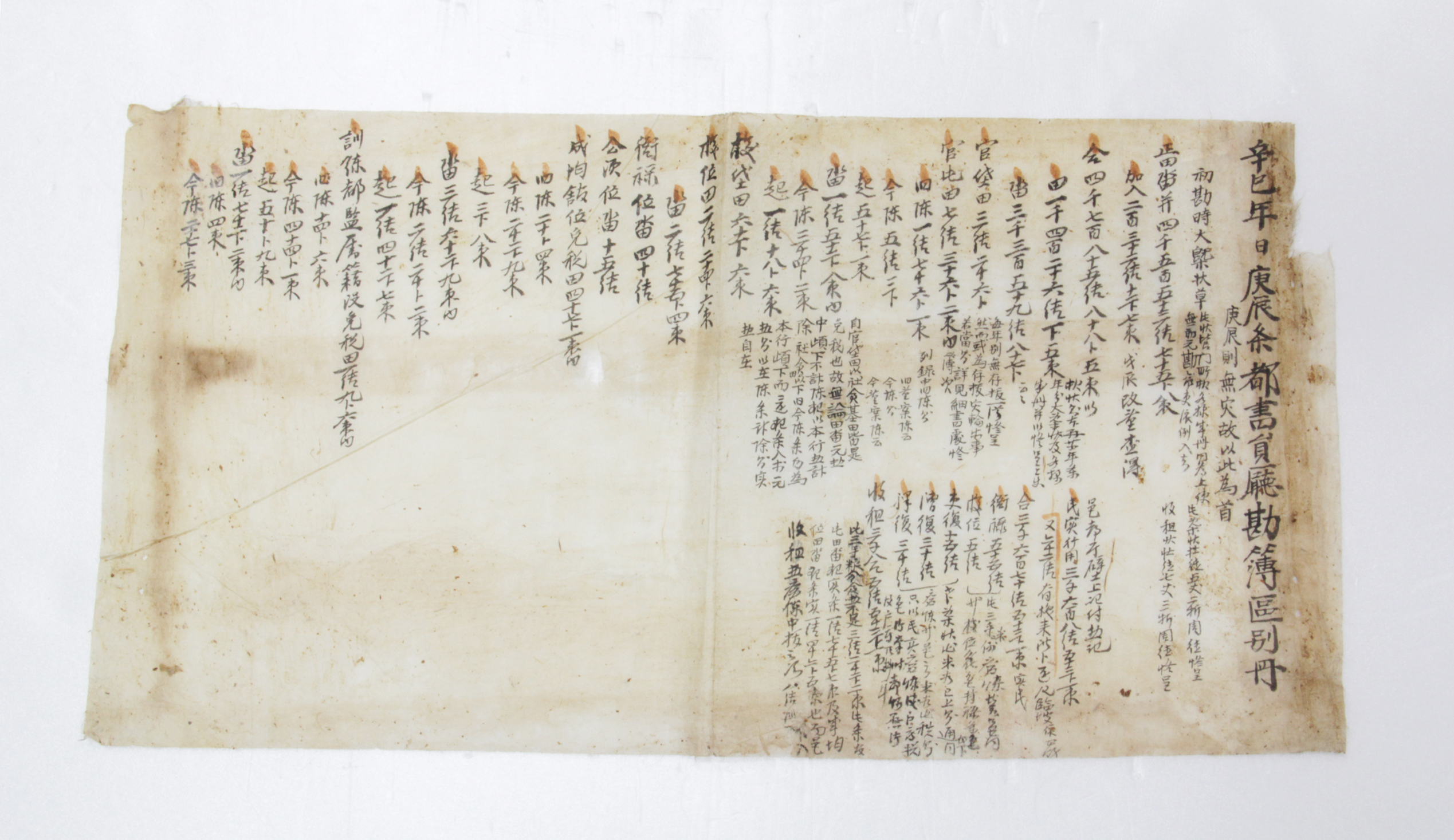 감부 - 辛巳年日庚辰?都書員廳勘簿區別冊 섬네일 파일