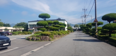 구례 광의면 동학농민군 집결지 (구례군 광의면 구만제로) 섬네일 파일