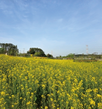 기념공원의 봄 섬네일 파일