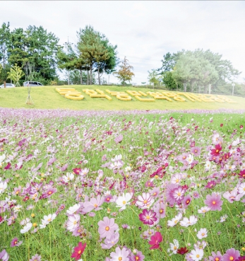 기념공원의 가을 섬네일 파일